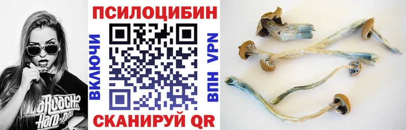 Купить где  Красновишерск  Галлюциногенные грибы GOLDEN TEACHER 